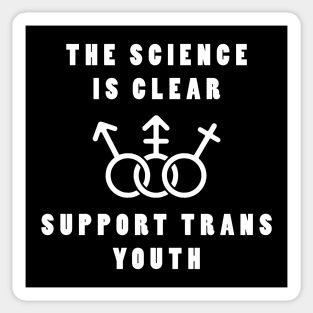 Support Trans Youth Sticker